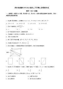 2022届四川省成都七中高三下学期三诊模拟考试数学（文）试题含解析