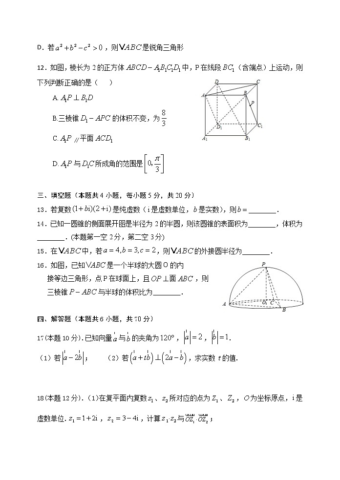 2021清远凤霞中学高一下学期期中数学试题含答案03