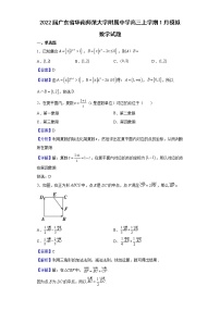 2022届广东省华南师范大学附属中学高三上学期1月模拟数学试题含解析
