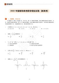 2022年猿辅导高考数学模拟试卷（新高考）