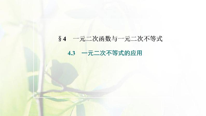 北师大版高中数学必修第一册第一章预备知识4.3一元二次不等式的应用课件02