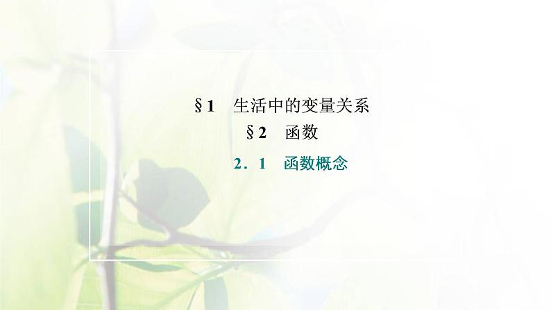 北师大版高中数学必修第一册第二章函数2.1函数概念课件02