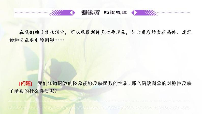 北师大版高中数学必修第一册第二章函数4.1函数的奇偶性课件04