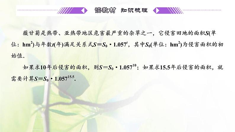 北师大版高中数学必修第一册第三章指数运算与指数函数1_2指数幂的拓展指数幂的运算性质课件第4页