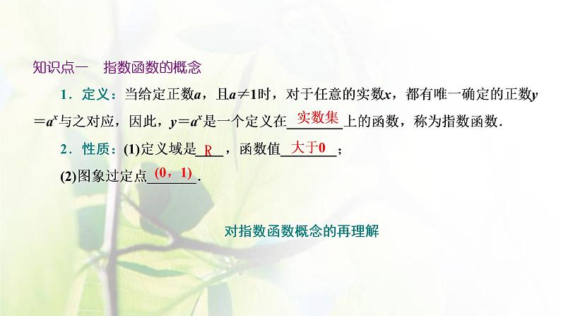 北师大版高中数学必修第一册第三章指数运算与指数函数3.1_3.2第1课时指数函数的概念图象与性质课件07