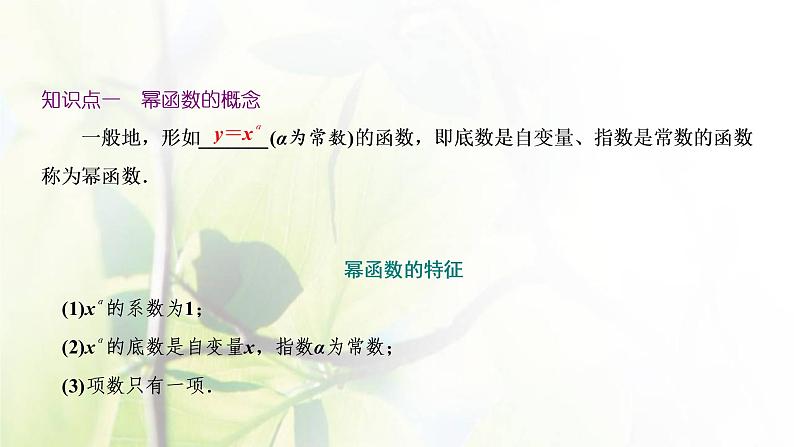 北师大版高中数学必修第一册第二章函数4.2简单幂函数的图象和性质课件05