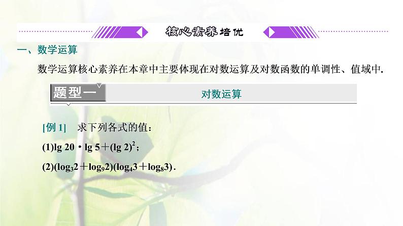 北师大版高中数学必修第一册第四章对数运算与对数函数章末复习与总结课件04
