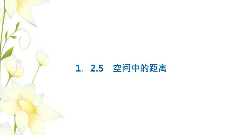 新人教B版高中数学选择性必修第一册第一章空间向量与立体几何2.5空间中的距离课件第1页