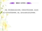 新人教B版高中数学选择性必修第一册第二章平面解析几何6.2双曲线的几何性质课件