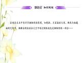 新人教B版高中数学选择性必修第一册第二章平面解析几何7.2抛物线的几何性质课件