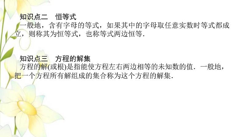新人教B版高中数学必修第一册第二章等式与不等式1.1等式的性质与方程的解集课件06