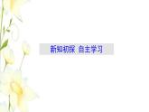 新人教B版高中数学必修第一册第二章等式与不等式1.2一元二次方程的解集及其根与系数的关系课件