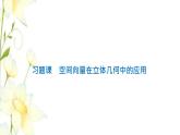 新人教B版高中數(shù)學(xué)選擇性必修第一冊(cè)第一章空間向量與立體幾何習(xí)題課空間向量在立體幾何中的應(yīng)用課件