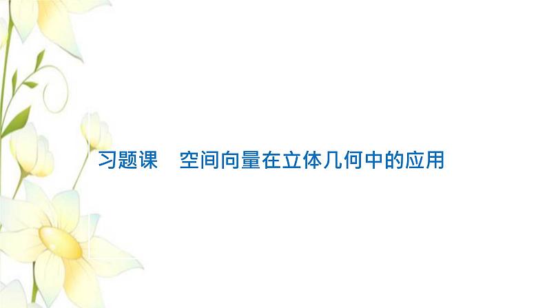 新人教B版高中数学选择性必修第一册第一章空间向量与立体几何习题课空间向量在立体几何中的应用课件第1页