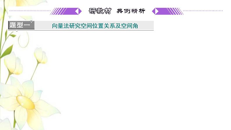 新人教B版高中数学选择性必修第一册第一章空间向量与立体几何习题课空间向量在立体几何中的应用课件第2页