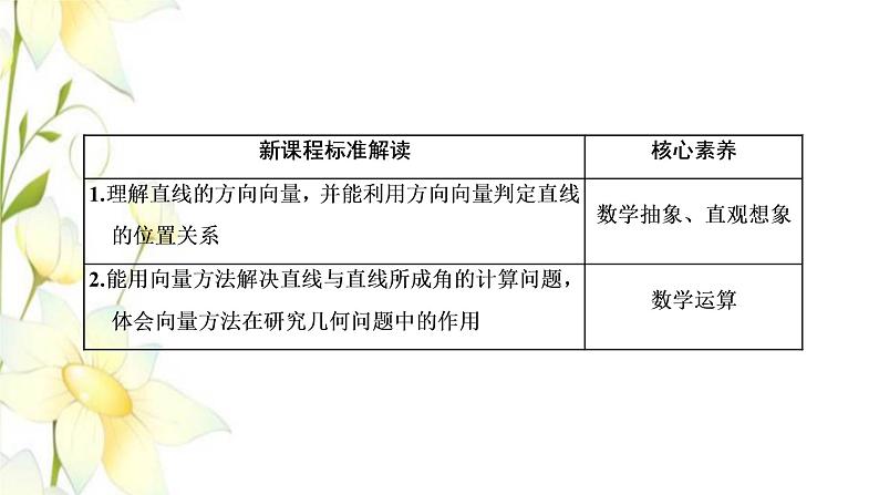 新人教B版高中数学选择性必修第一册第一章空间向量与立体几何2.1空间中的点直线与空间向量课件02