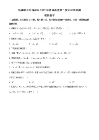 精品解析：新疆维吾尔自治区2022届高三下学期第三次适应性检测数学（理）试题（原卷版）