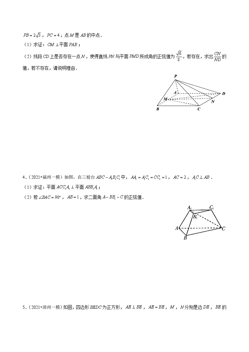 专题12 立体几何综合题（原卷版）第2页