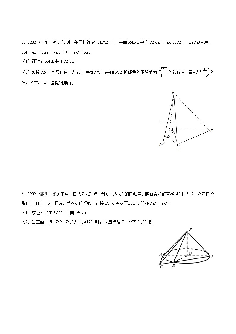 专题12 立体几何综合题（原卷版）第3页
