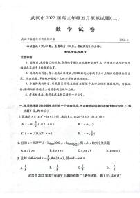 2022武汉高三年级5月模拟试题（二）（二模）数学PDF版含答案
