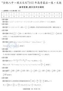 2022届合肥八中最后一卷文数试卷及参考答案
