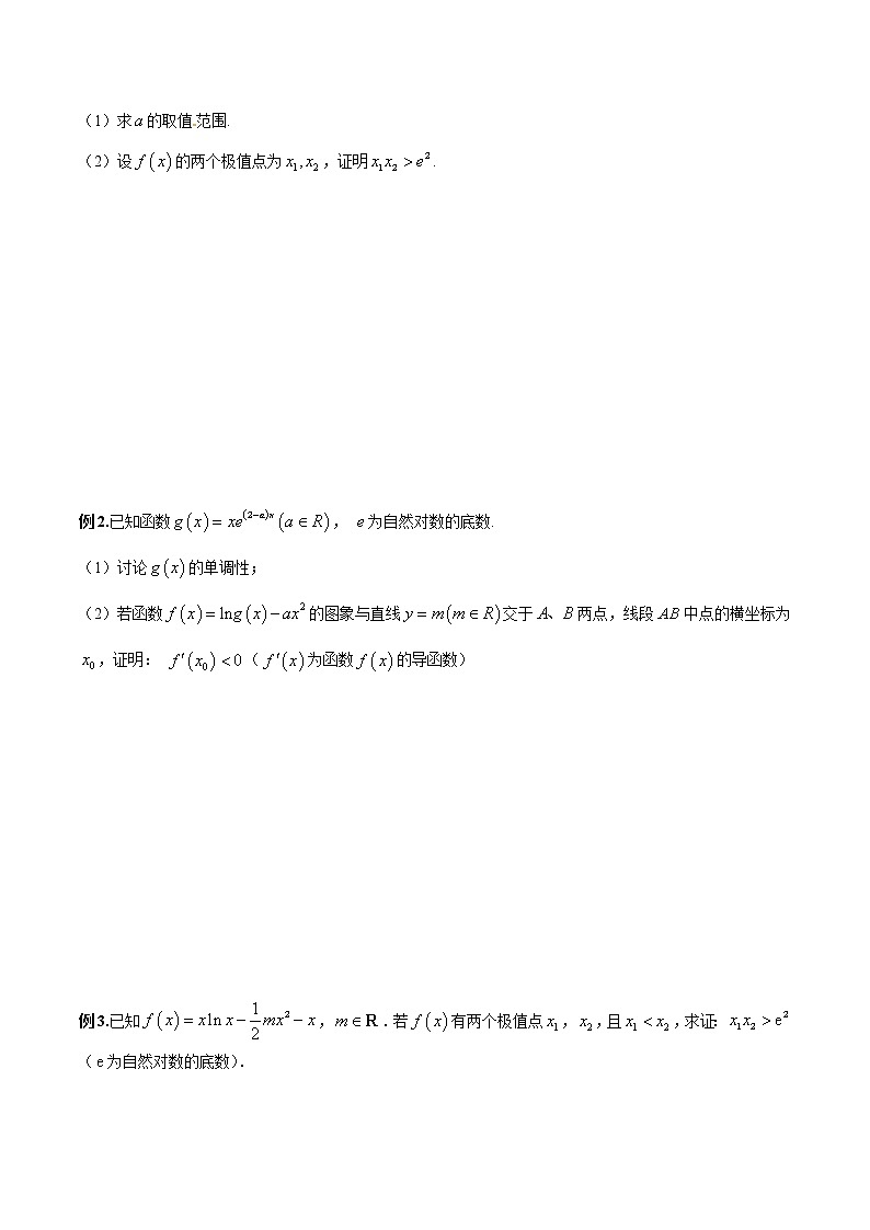 专题09 极值点偏移（二）（原卷版）第3页