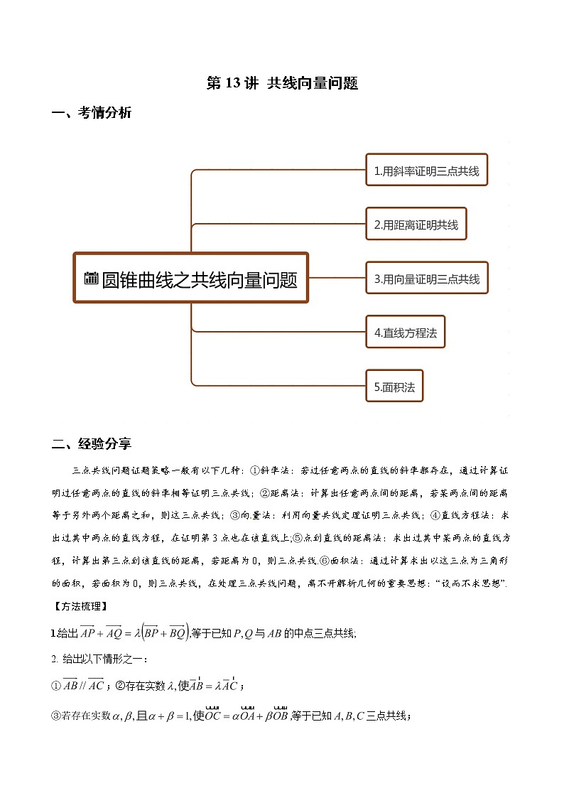第13讲 共线向量问题（原卷版）第1页
