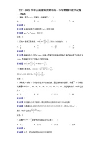 2021-2022学年云南省师大附中高一下学期期中数学试题含解析