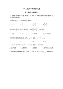 2022洛南县洛南中学高三上学期第一次模拟考试理科数学试题含答案