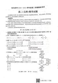 2021驻马店高二下学期期终考试文科数学试题扫描版含答案