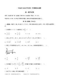 2021宁波高一下学期期末考试数学试题含答案
