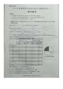 2020年普通高等学校招生伯乐马模拟考试（一）数学（理）试题 PDF版
