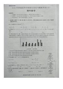 2020年普通高等学校招生全国统一考试伯乐马模拟考试（五）理科数学试题 PDF版