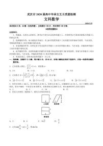 2020届湖北省武汉市高三毕业生五月质量检测数学（文）试题 PDF版