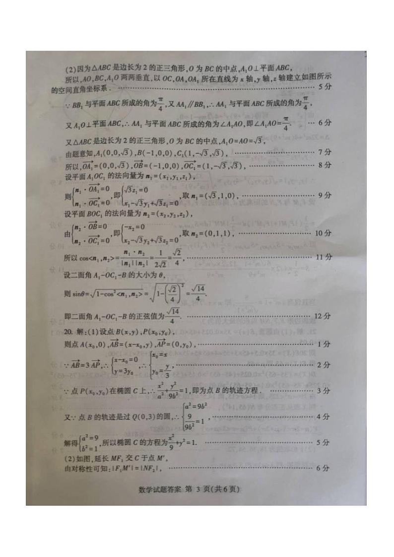 山东省2020年普通高中学业水平等级考试4月（模拟）数学试题（答案）第3页