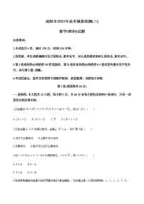 2021咸阳高三下学期5月高考模拟检测（三）理科数学试题含答案