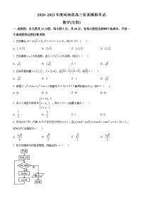 2021河南省高三下学期5月仿真模拟考试数学（文）试题含答案