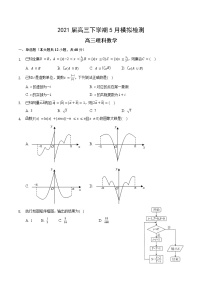 2021滁州定远县民族中学高三5月模拟检测数学（理）试题含答案