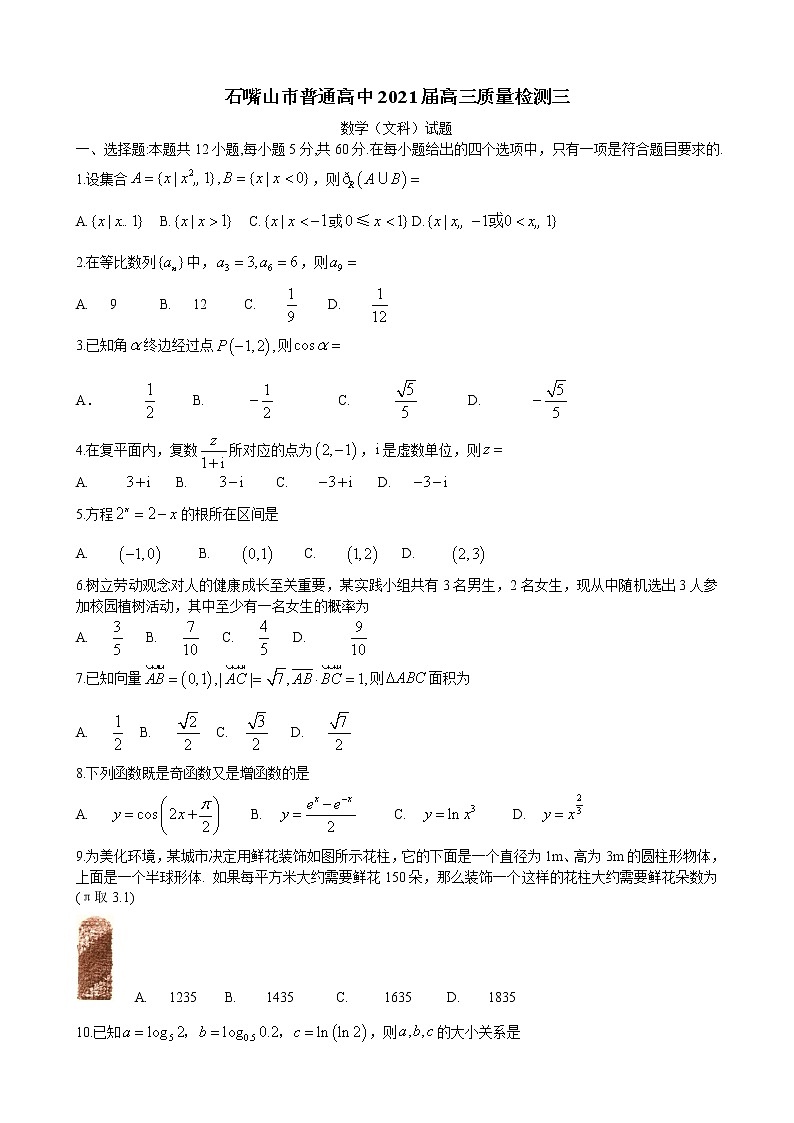 2021石嘴山高三下学期质量检测三数学（文科）试题含答案第1页