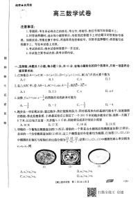2021朝阳高三下学期5月第三次模拟考试数学试题扫描版含答案