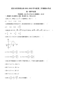 湖北省武汉市常青联合体2021-2022学年高一下学期期末数学试题