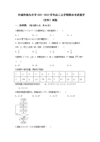 2021-2022学年江西省丰城市第九中学高二上学期期末考试数学（文）试题含答案