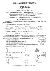 柳州市2023届新高三摸底考试文科数学试题+答案