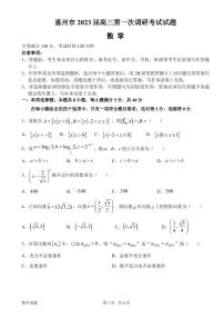 惠州市2023届高三第一次调研考试数学试题+参考答案与评分细则
