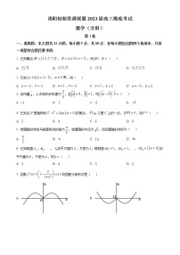 2023洛阳创新发展联盟高三摸底考试数学（文）含答案