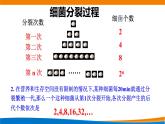 高中数学 等比数列的概念 PPT课件