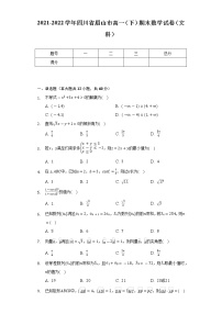 2021-2022学年四川省眉山市高一（下）期末数学试卷（文科）（Word解析版）
