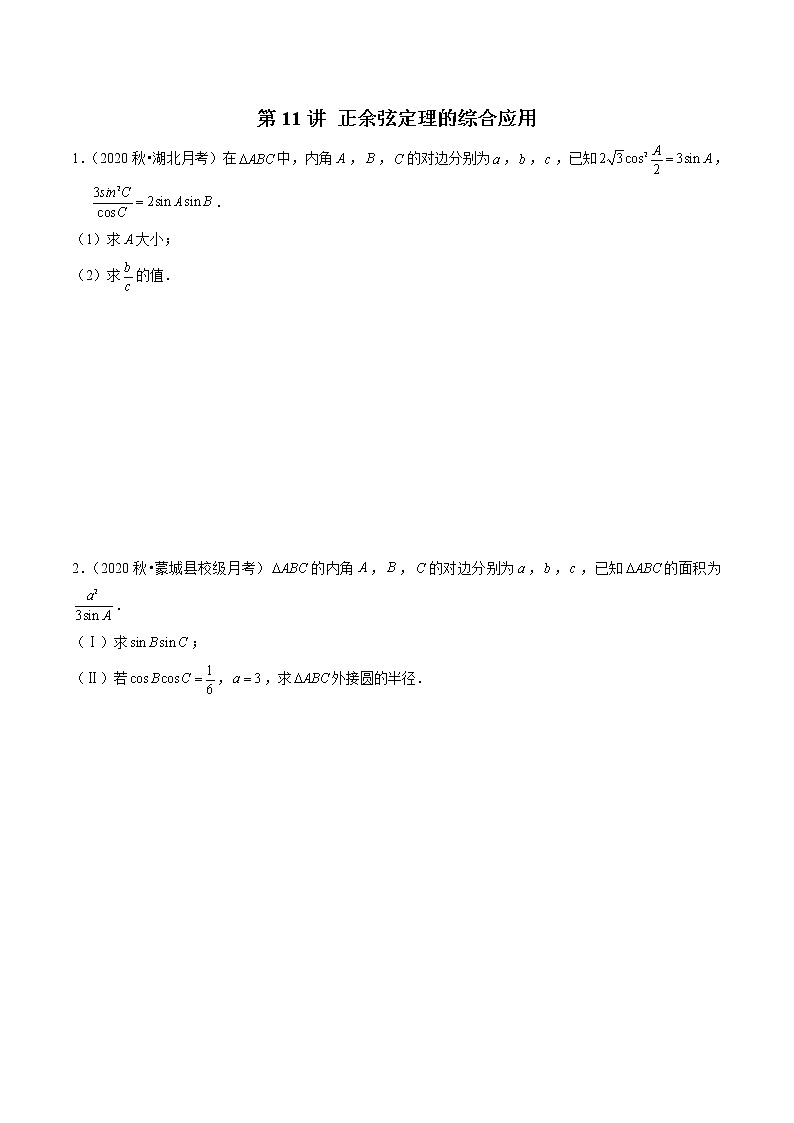 新高考数学二轮专题《解三角形》第11讲 正余弦定理的综合应用（原卷版）第1页