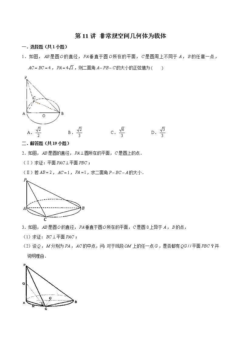 新高考数学二轮专题《立体几何》第11讲 非常规空间几何体为载体（原卷版）第1页