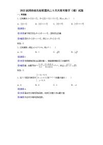 2022届河南省名校联盟高三5月大联考数学（理）试题含解析